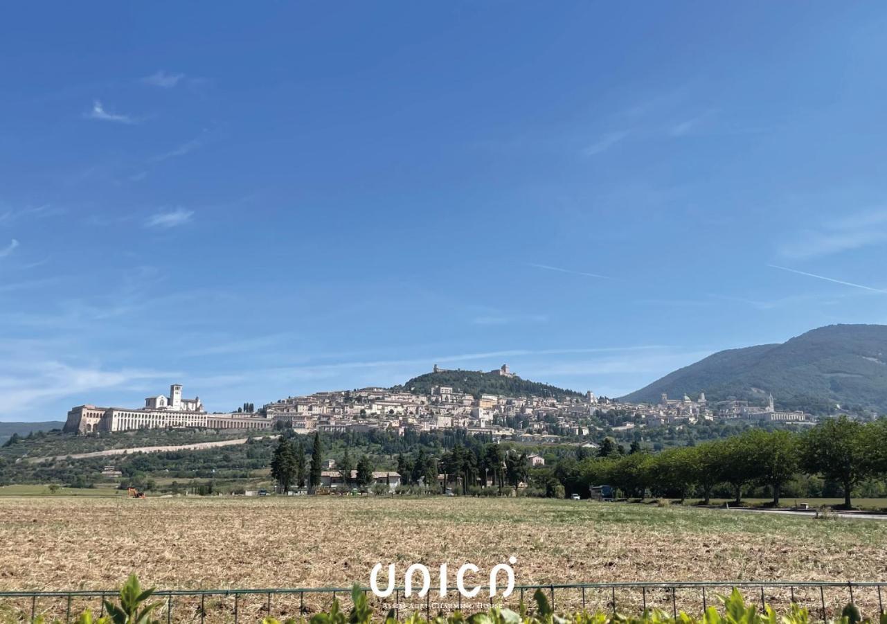 Unica Assisi Agri-Charming House Panzió Kültér fotó